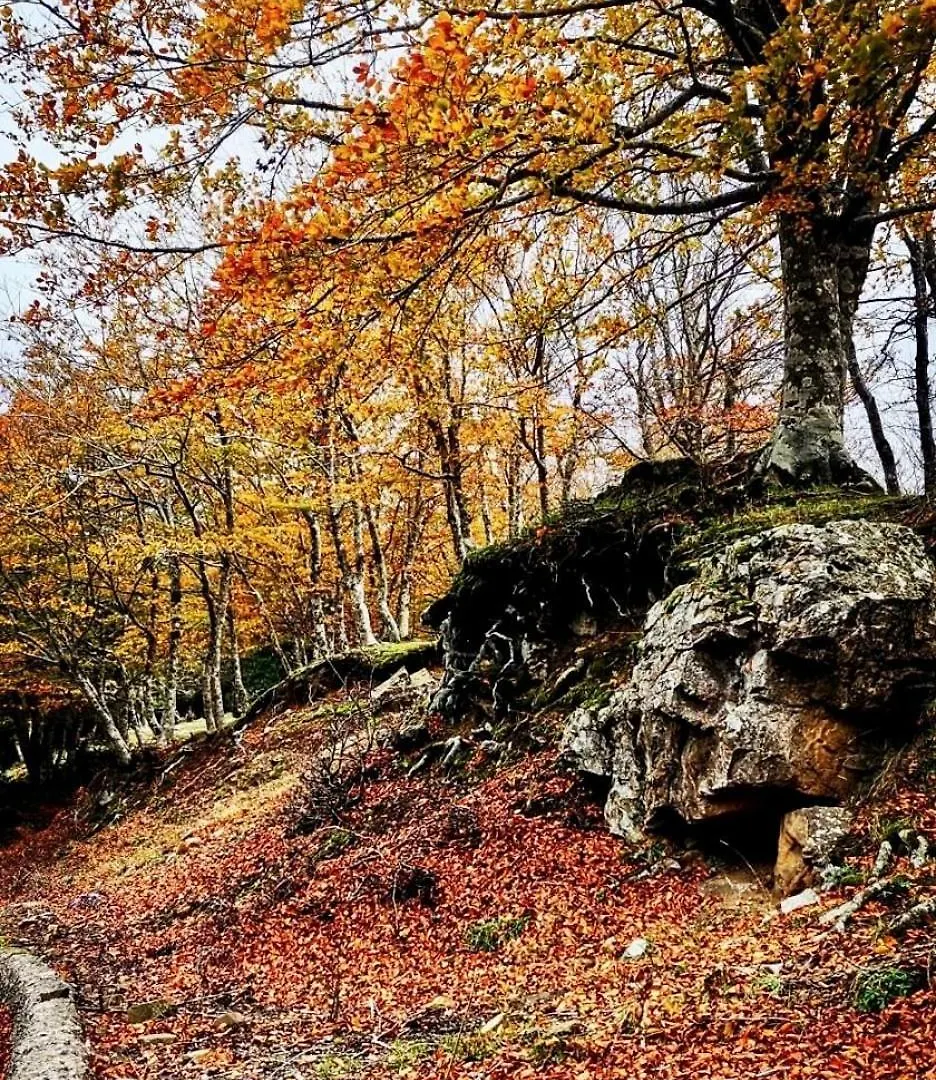 Nebris - Rifugio Del Parco Hotel San Fratello Italy