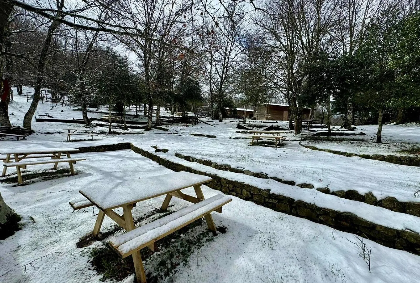 Nebris - Rifugio Del Parco Hotel San Fratello