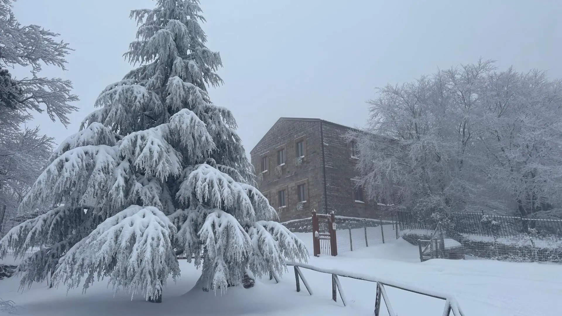 Nebris - Rifugio Del Parco location